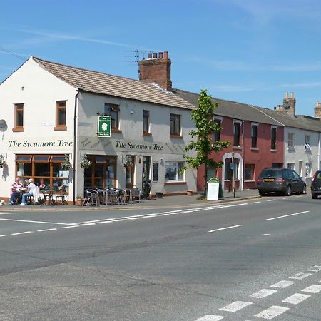 The Sycamore Tree Longtown Экстерьер фото